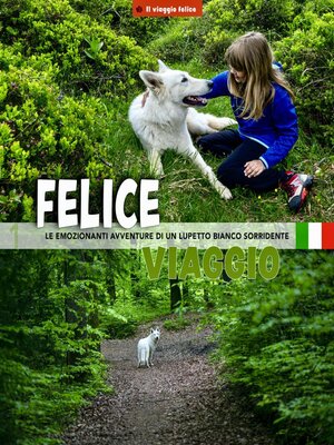 cover image of Felice viaggio
